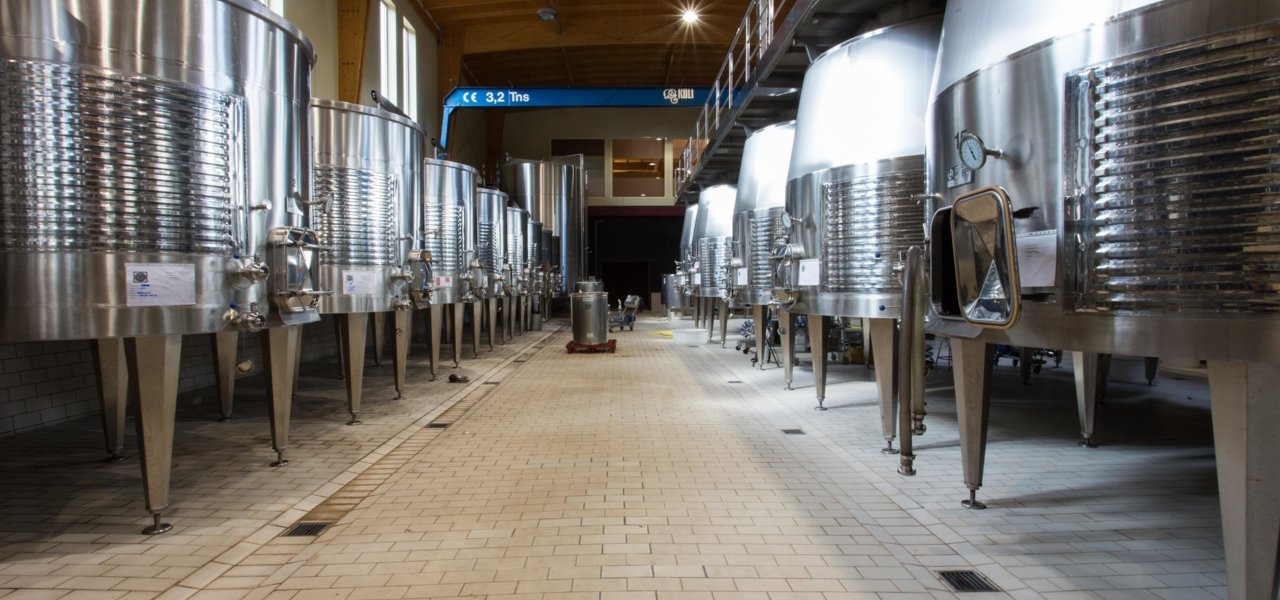 bespoke winery visit - Wine Paths